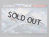 タミヤ 1/32 エアークラフトシリーズ No.13 　F-14A トムキャット“ブラックナイツ”