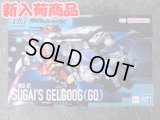 HG 1/144 ゲルググ スガイ機（GQ）
