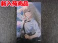 画像1: コトブキヤ　１/１０スケール 創彩少女庭園  ウルフさん (1)
