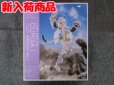 画像1: コトブキヤ ノンスケール フレームアームズ ガール ドゥルガーI 〈キャットアーマーVer.〉 (1)