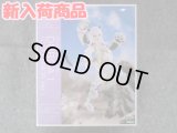 コトブキヤ ノンスケール フレームアームズ ガール ドゥルガーI 〈キャットアーマーVer.〉