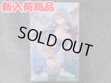 コトブキヤ ノンスケール アルカナディア  エルメダ