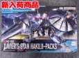 画像1: HG 1/144 No.07 エグザベ専用ギャン(ハクジ装備) (1)