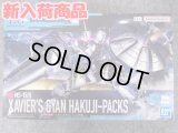 HG 1/144 No.07 エグザベ専用ギャン(ハクジ装備)