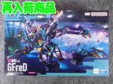 HG 1/144 No.08 GFreD