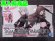 画像1: バンダイ ノンスケール 30MS ボディパーツ  シグマシスターズパラドクス1[カラーA] (1)
